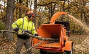 Certified Arborist Naperville IL